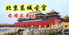 日本女人操BB中国北京-东城古宫旅游风景区